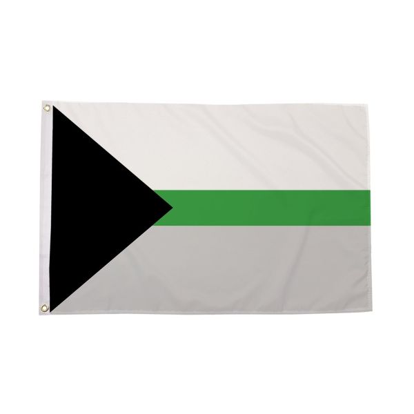 Demiromantic Flag