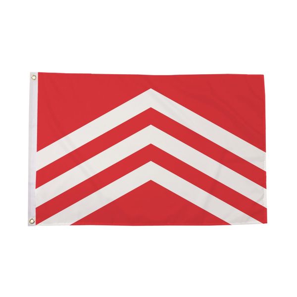 Glamorgan Flag
