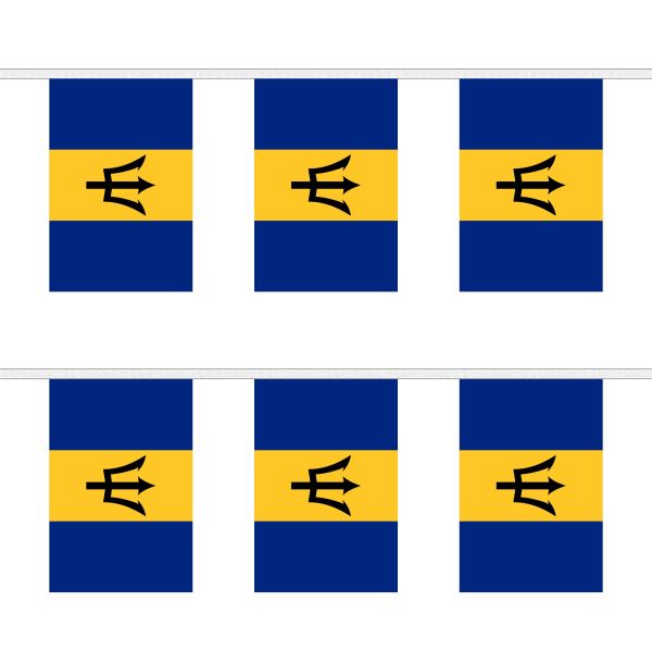 Barbados Rectangular Bunting