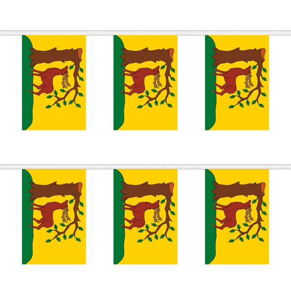 Berkshire New Rectangular Bunting