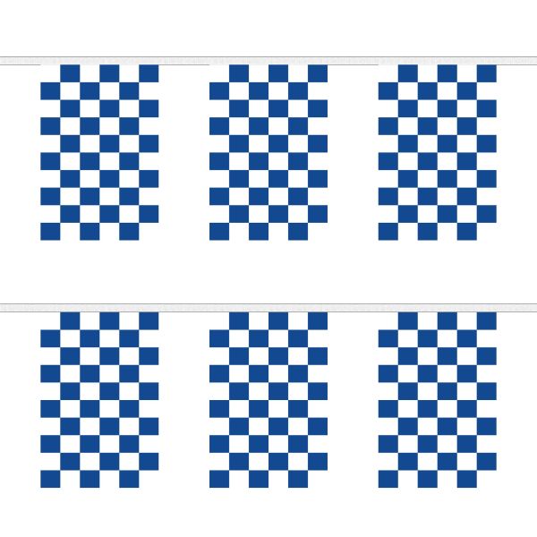 Blue and White Check Rectangular Bunting