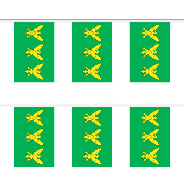 Caernarfonshire Rectangular Bunting