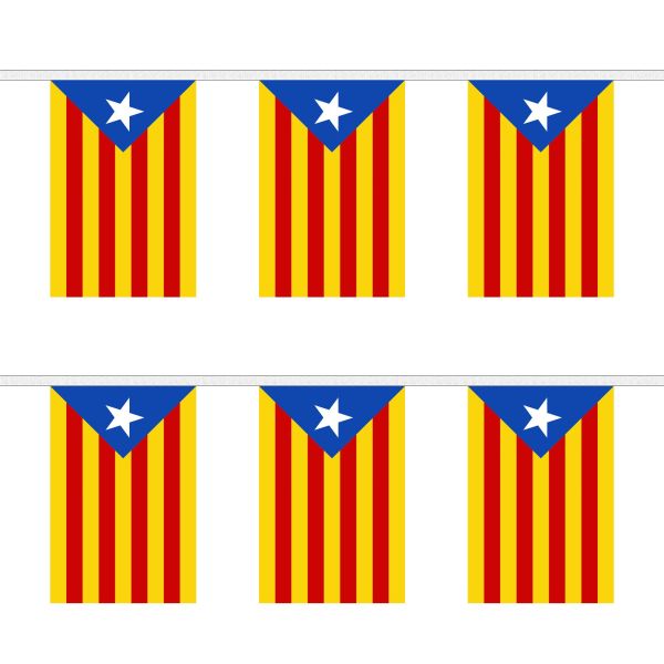 Catalan Independence (Estelada) Rectangular Bunting
