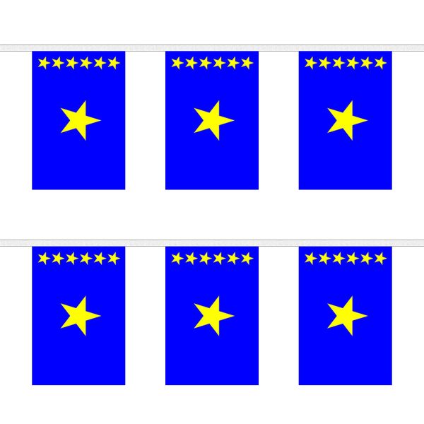 Congo Kinshasa Rectangular Bunting