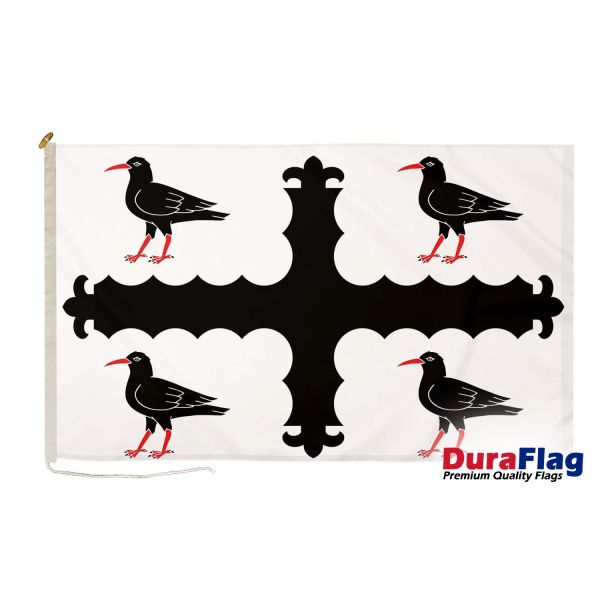 Flintshire DuraFlag