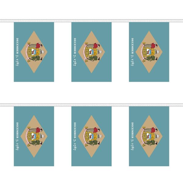 Delaware Rectangular Bunting