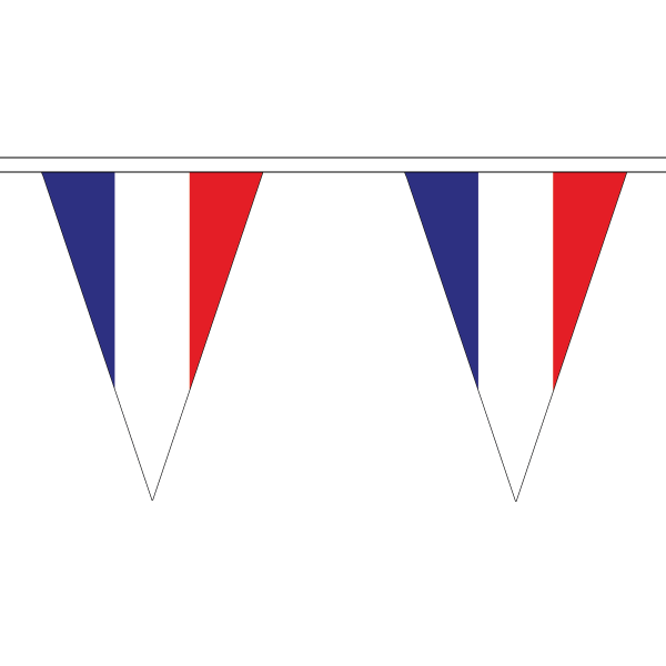 France Triangle Bunting