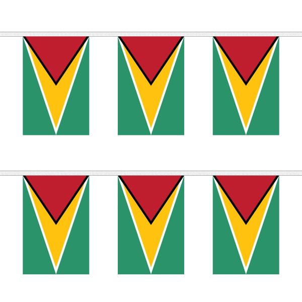 Guyana Rectangular Bunting