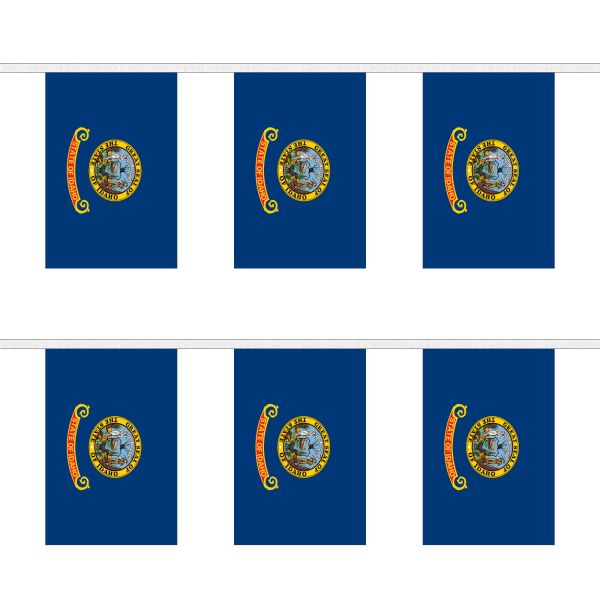 Idaho Rectangular Bunting