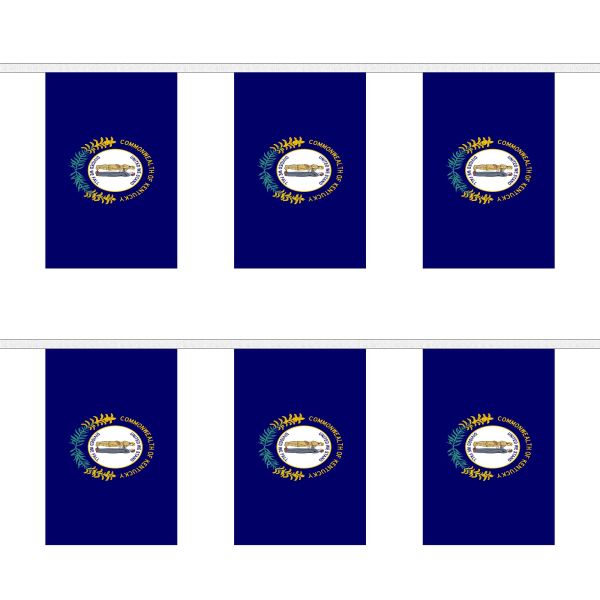 Kentucky Rectangular Bunting