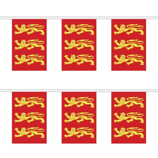 King Richard 1st Rectangular Bunting