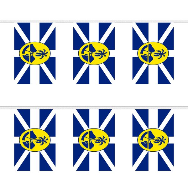 Lord Howe Island Rectangular Bunting