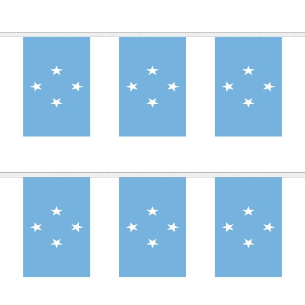 Micronesia Rectangular Bunting