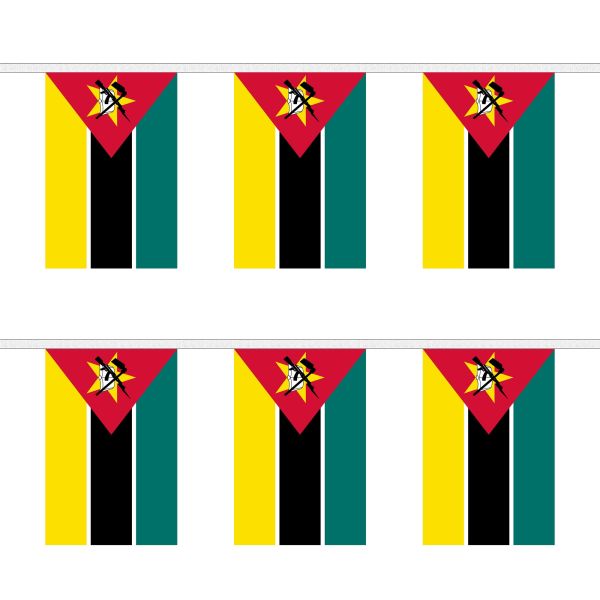 Mozambique Rectangular Bunting