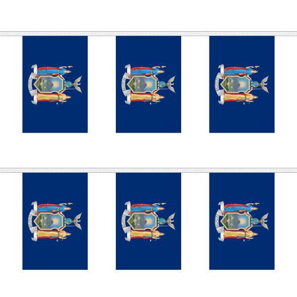 New York Rectangular Bunting