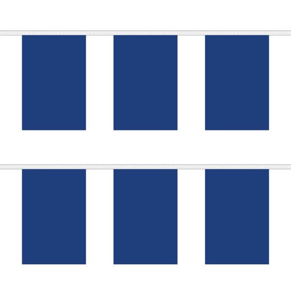 Plain Blue Rectangular Bunting