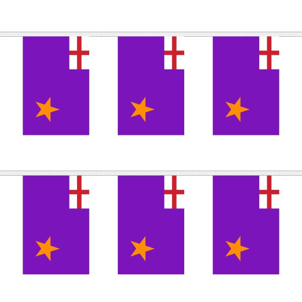 Purple Standard Rectangular Bunting
