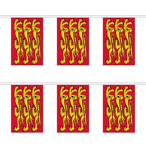 Richard The Lionheart Rectangular Bunting