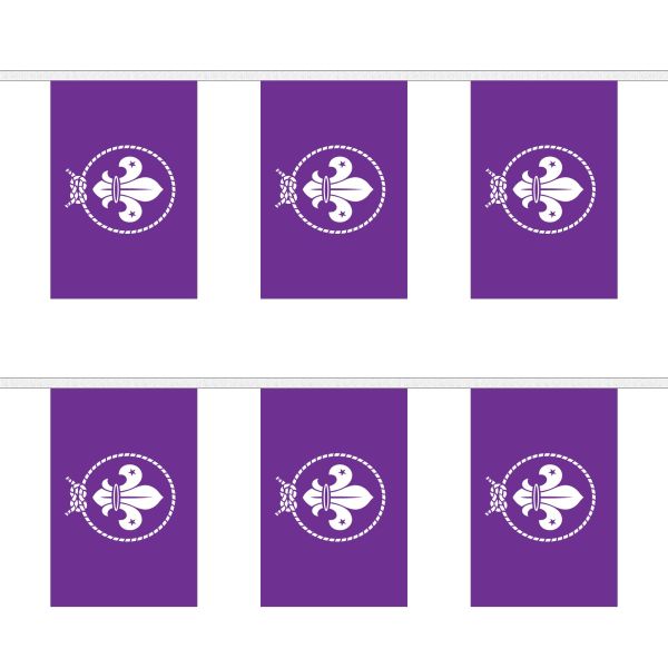Scouts Purple Rectangular Bunting