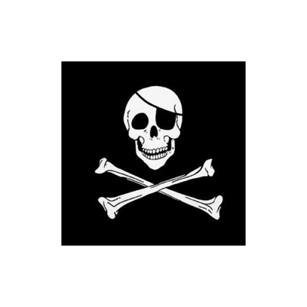 Skull and Crossbones Bandana