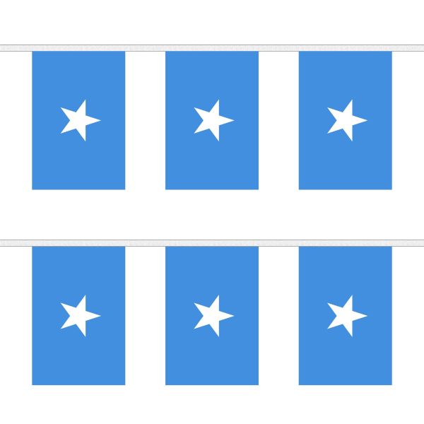 Somalia Rectangular Bunting