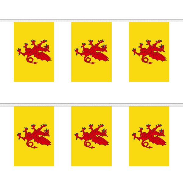 Somerset New Rectangular Bunting