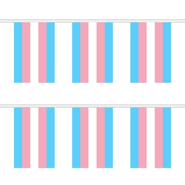 Transgender (New) Rectangular Bunting