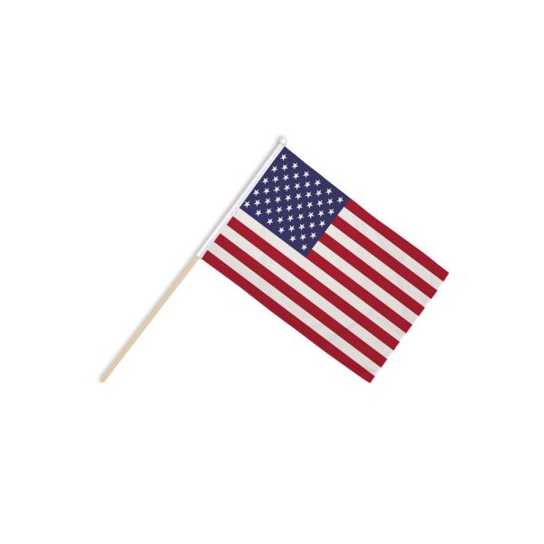 USA Hand Flags