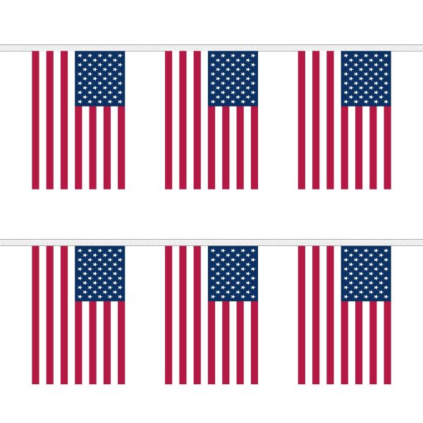 USA Rectangular Bunting