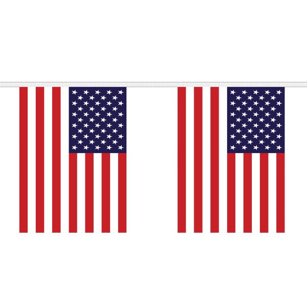 USA Giant Bunting