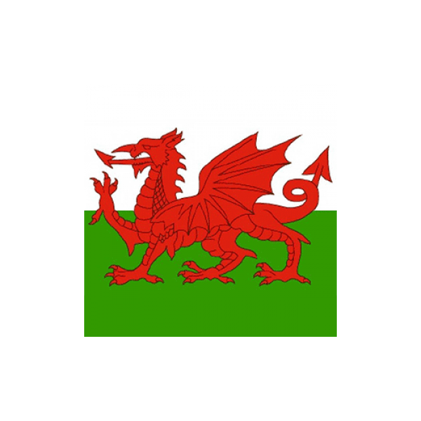 Wales Bandana