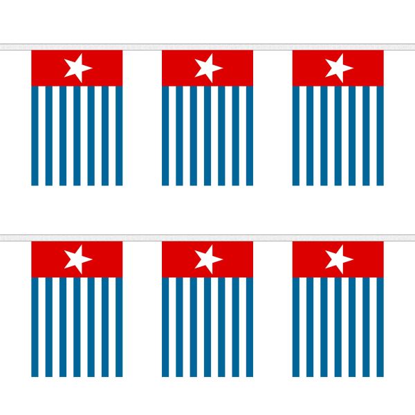 West Papua Rectangular Bunting