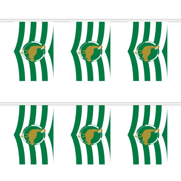 Wiltshire New Rectangular Bunting