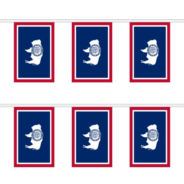 Wyoming Rectangular Bunting