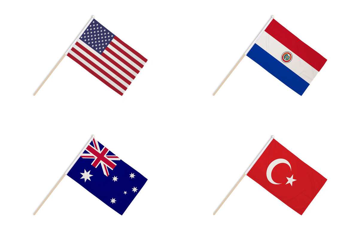 World Cup 2026 Group D Hand Flags