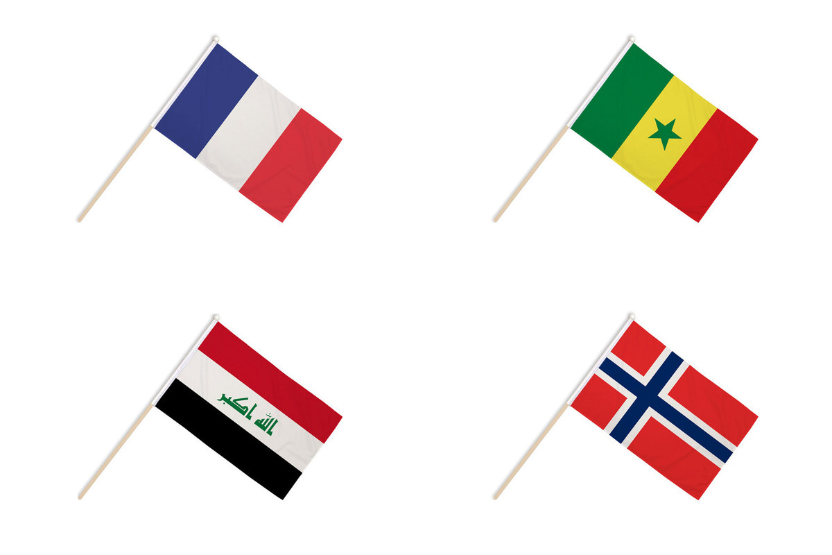 World Cup 2026 Group I Hand Flags